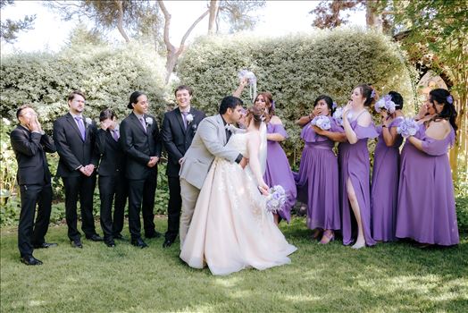 WF-1010.JPG by Sarah Williams