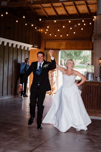 Reception-7827.jpg by Sarah Williams