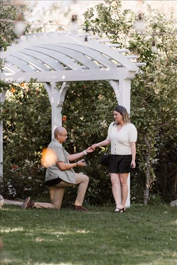 Final-5156.jpg by Sarah Williams