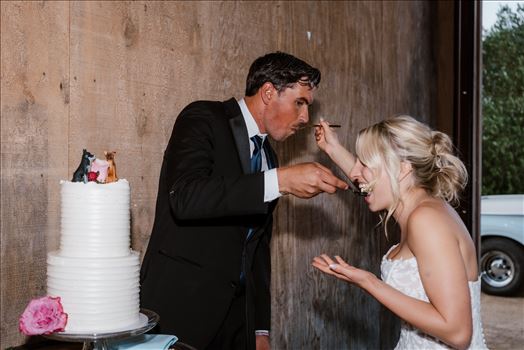 Reception-8172.jpg by Sarah Williams