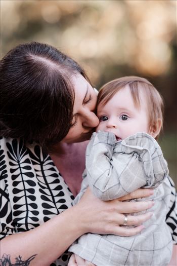 Final-0821.jpg by Sarah Williams