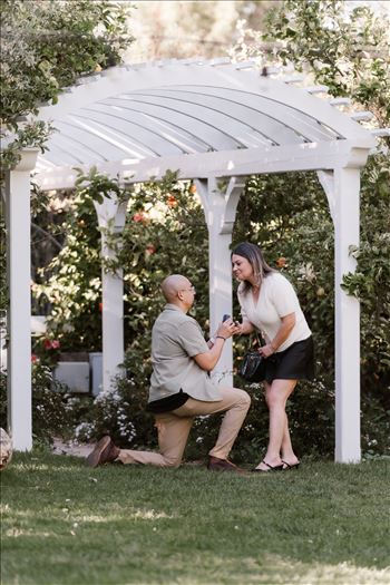 Final-5173.jpg by Sarah Williams