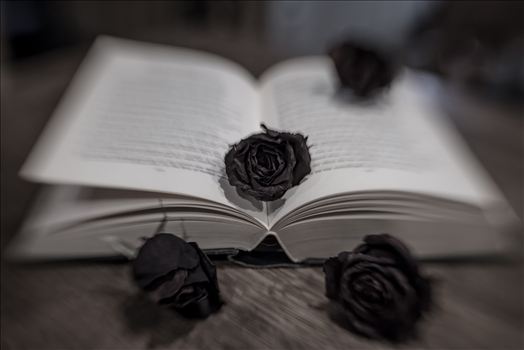 Black Roses.jpg by Sarah Williams