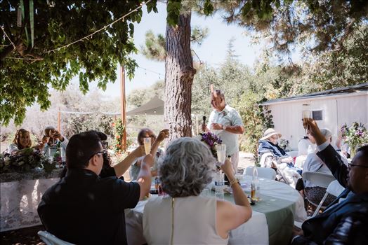 Reception-4874.jpg by Sarah Williams