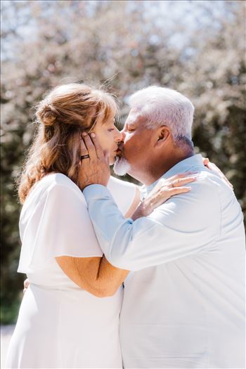 Bride and Groom-4011.jpg by Sarah Williams