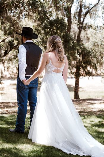 First Look-9392.jpg by Sarah Williams