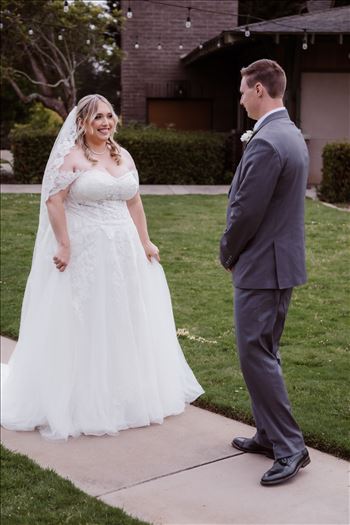 First Look-2000.jpg by Sarah Williams