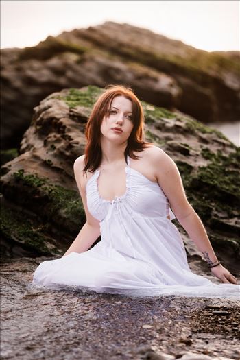 Final 3--12.jpg by Sarah Williams