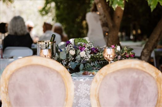 Reception-3937.jpg by Sarah Williams