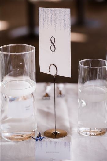 Final-9283.jpg by Sarah Williams