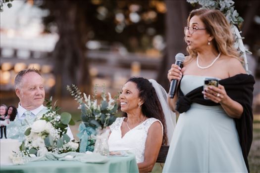 Final-5411.jpg by Sarah Williams