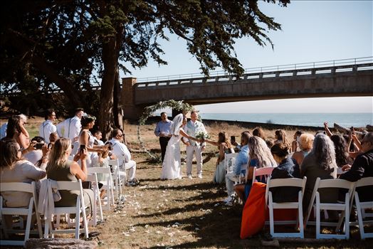 Final-6228.jpg by Sarah Williams