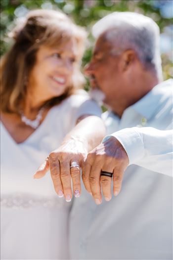 Bride and Groom-4099.jpg by Sarah Williams