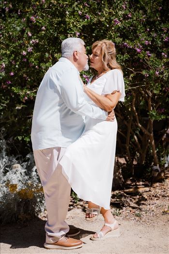 Bride and Groom-5012.jpg by Sarah Williams