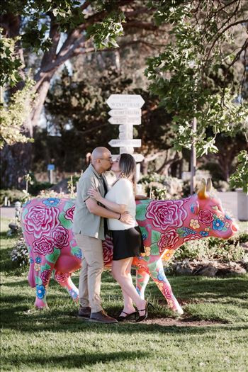 Final-5698.jpg by Sarah Williams