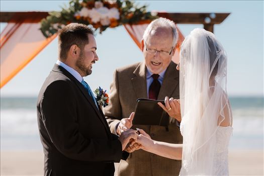 Final-4297.jpg by Sarah Williams