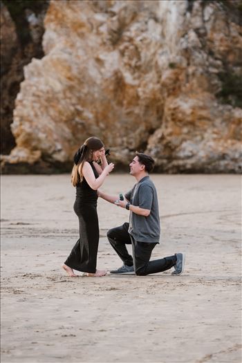 Final-3101.jpg by Sarah Williams