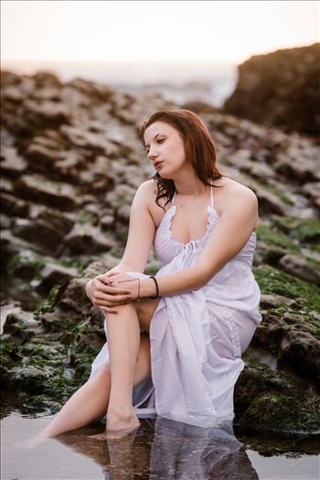 Final 3--3.jpg by Sarah Williams