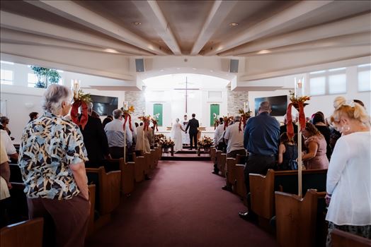 Final-8658.jpg by Sarah Williams