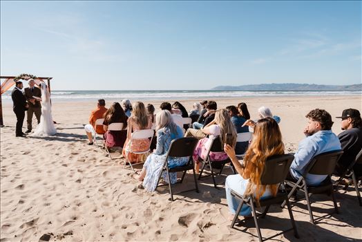 Final-9681.jpg by Sarah Williams