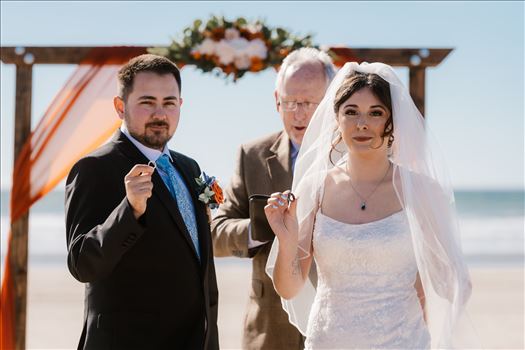 Final-4283.jpg by Sarah Williams