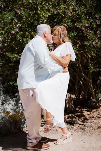 Bride and Groom-5016.jpg by Sarah Williams
