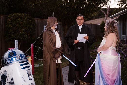 Final-7328.jpg by Sarah Williams