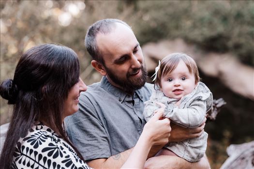 Final-0707.jpg by Sarah Williams