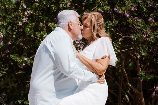 Bride and Groom-5017.jpg by Sarah Williams
