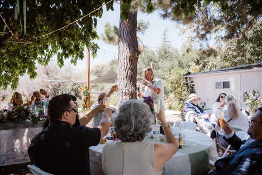 Reception-4876.jpg by Sarah Williams