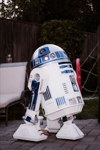 Final-7320.jpg by Sarah Williams