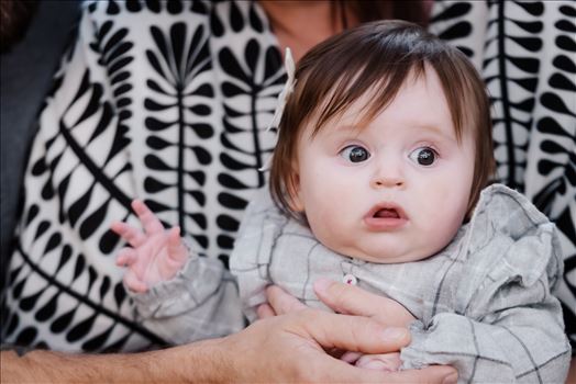 Final-0919.jpg by Sarah Williams