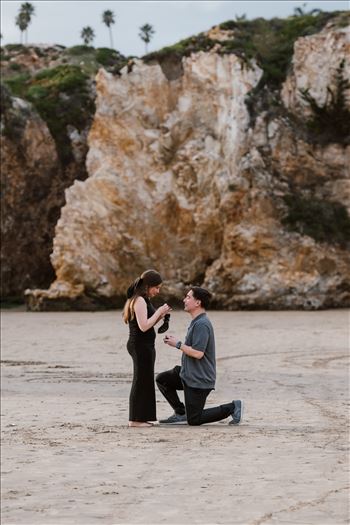 Final-3103.jpg by Sarah Williams