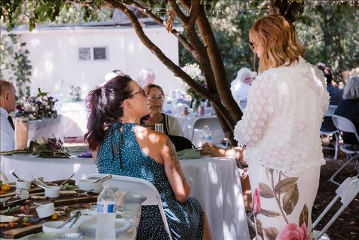 Reception-4942.jpg by Sarah Williams