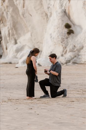 Final-3083.jpg by Sarah Williams