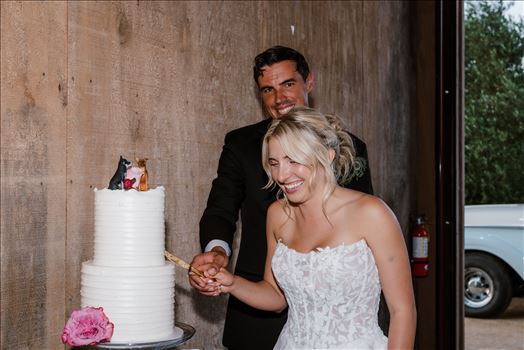 Reception-8165.jpg by Sarah Williams