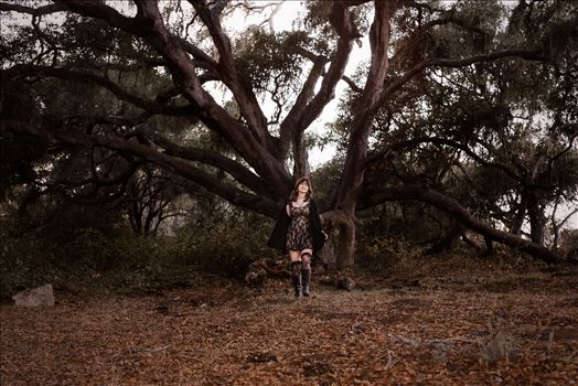 Final Night Shots--2.jpg by Sarah Williams