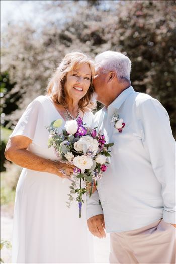 Bride and Groom-4054.jpg by Sarah Williams