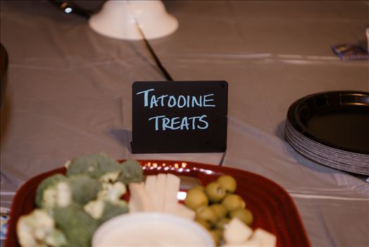 Final-7396.jpg by Sarah Williams