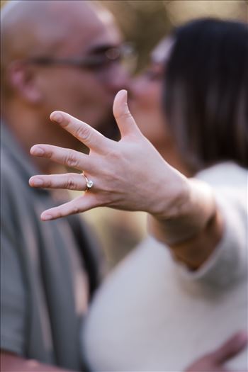 Final-5278.jpg by Sarah Williams