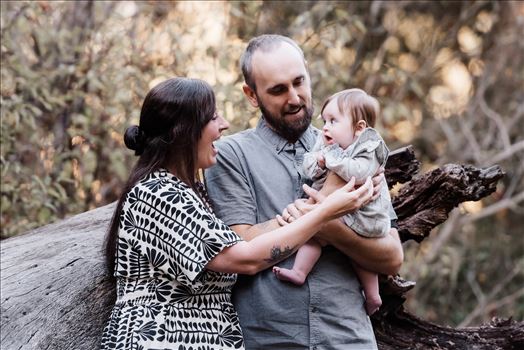 Final-0695.jpg by Sarah Williams