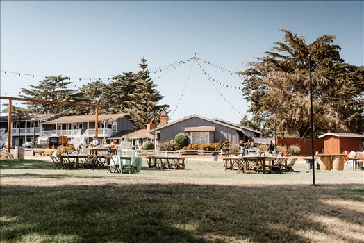 Final-6174.jpg by Sarah Williams