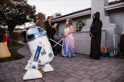 Final-7314.jpg by Sarah Williams