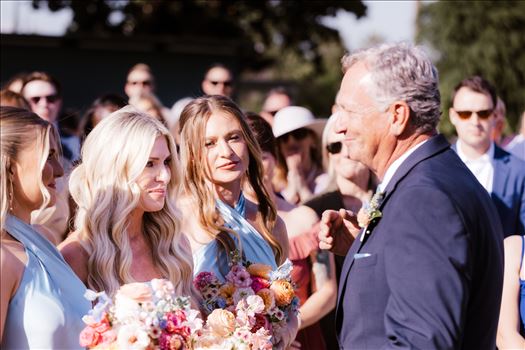 Final-9900.jpg by Sarah Williams