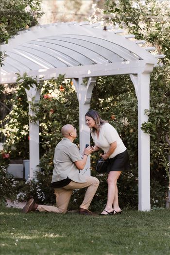 Final-5170.jpg by Sarah Williams