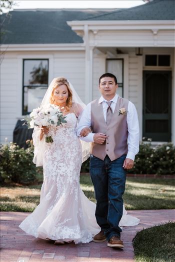 Final-0960.jpg by Sarah Williams