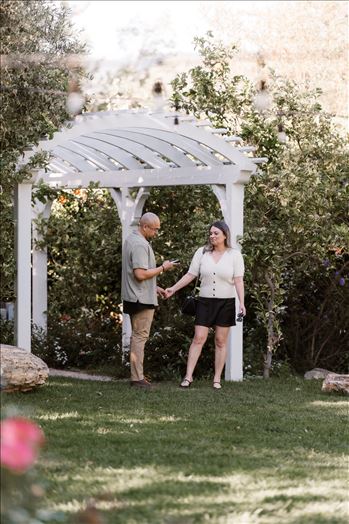 Final-5152.jpg by Sarah Williams