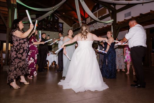Reception and Party-4326.jpg by Sarah Williams