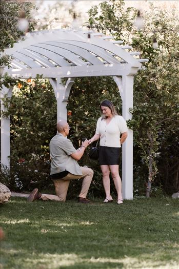 Final-5164.jpg by Sarah Williams