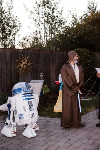 Final-7311.jpg by Sarah Williams